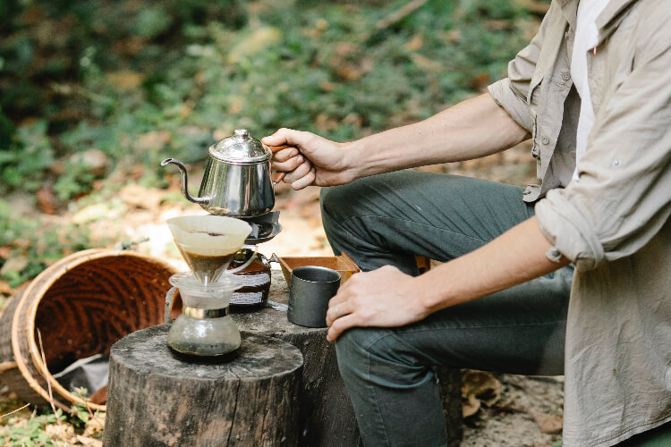 are coffee grounds good for gardenias