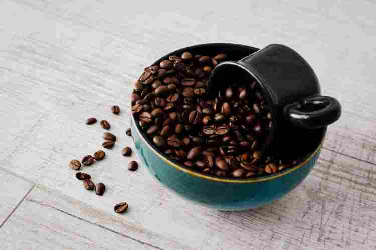 what is better coffee light roast dark roast or medium roast?